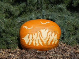 Fire Mouth, Nipomo Pumpkin Patch best carving idea